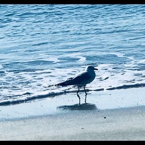 Meet your Posher, Devin